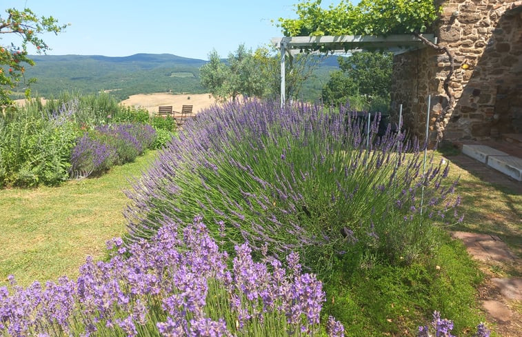 Natuurhuisje in casole d&apos;elsa