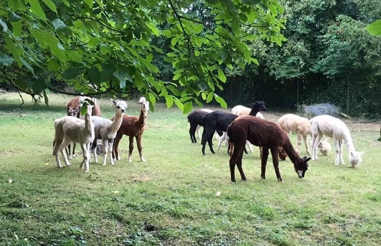 Natuurhuisje in Nideggen-Berg