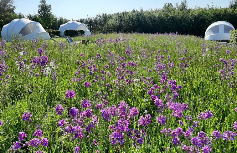 Natuurhuisje in Westouter