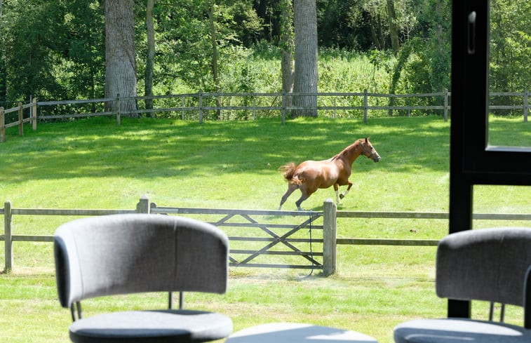 Natuurhuisje in Lennik