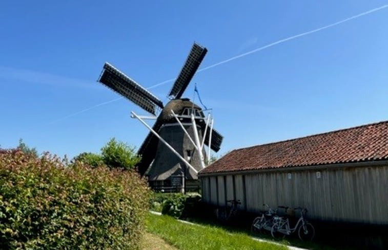 Natuurhuisje in Langelille