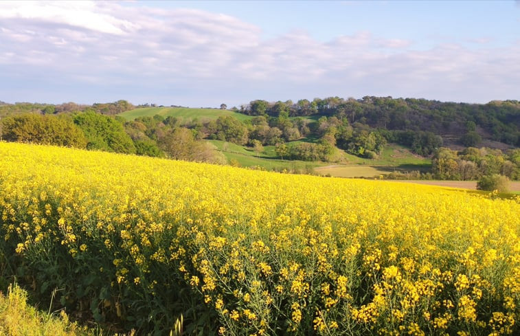 Natuurhuisje in balansun