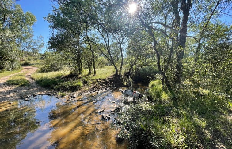 Natuurhuisje in Navalafuente