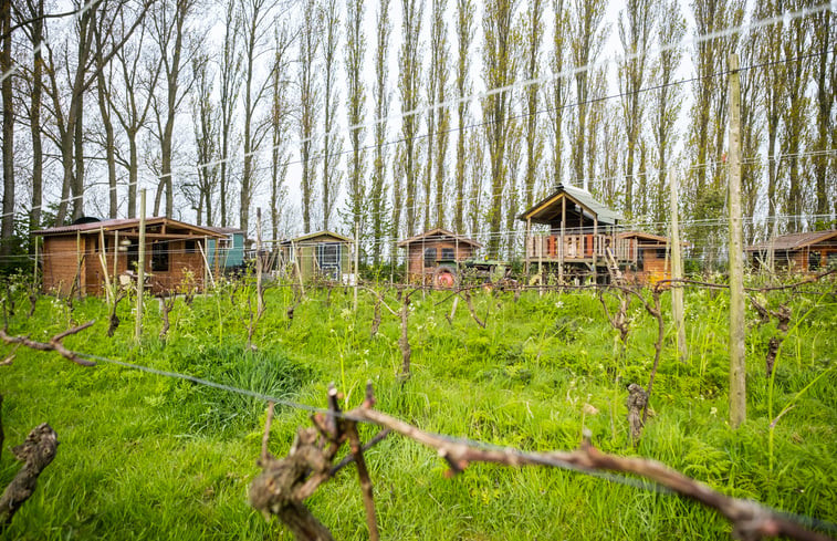 Natuurhuisje in Simonshaven