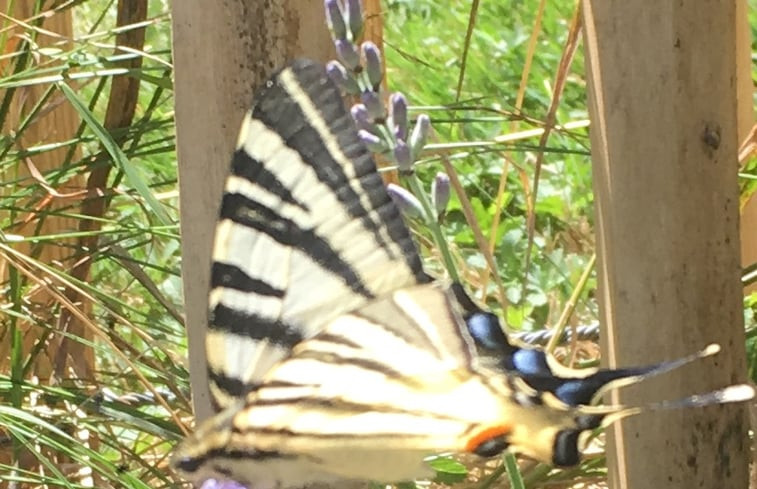 Natuurhuisje in Malleret Boussac