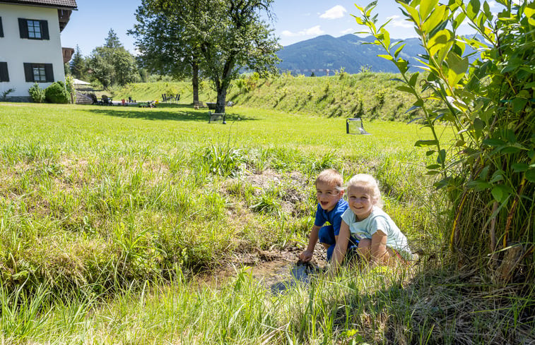 Natuurhuisje in Radstadt