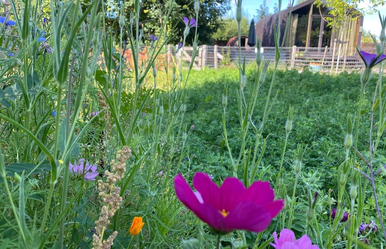 Natuurhuisje in Almere