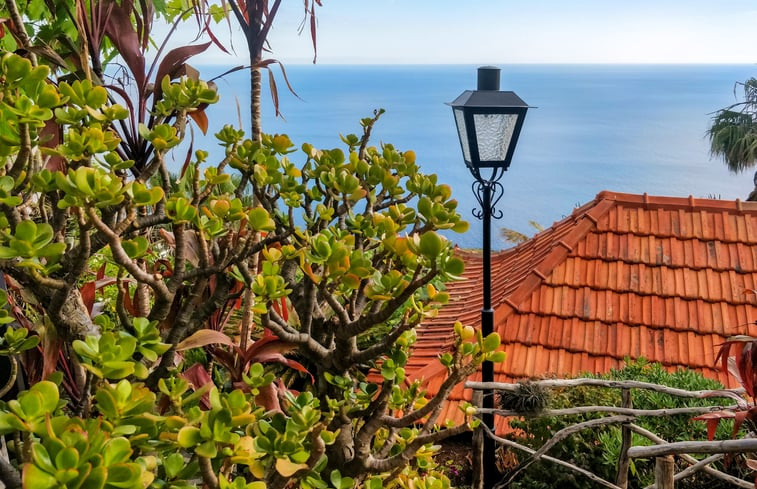 Natuurhuisje in Arco da Calheta