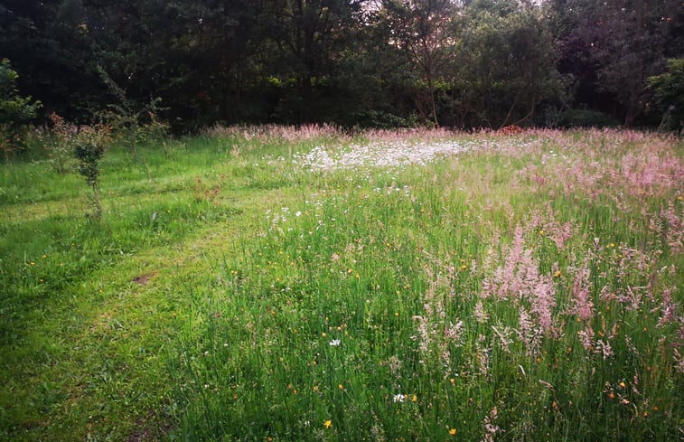 Natuurhuisje in Nijlen