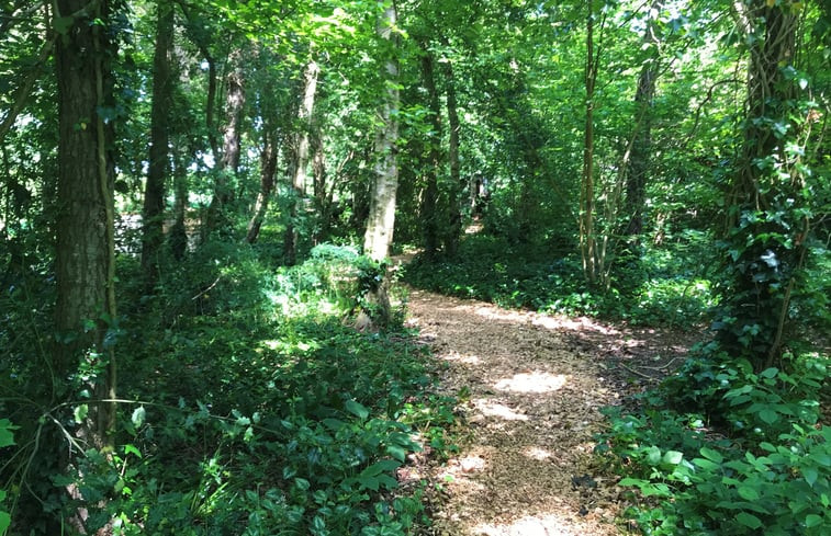 Natuurhuisje in Een-West