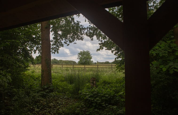 Natuurhuisje in Eext