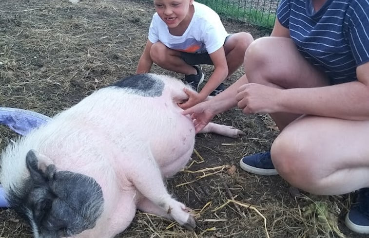 Natuurhuisje in Smeerebbe Vloerzegem