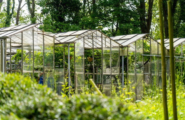 Natuurhuisje in Oostkapelle