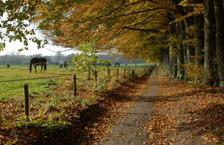 Natuurhuisje in Berg en Dal