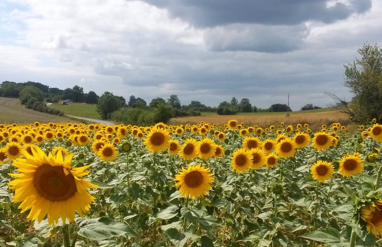 Natuurhuisje in Saman