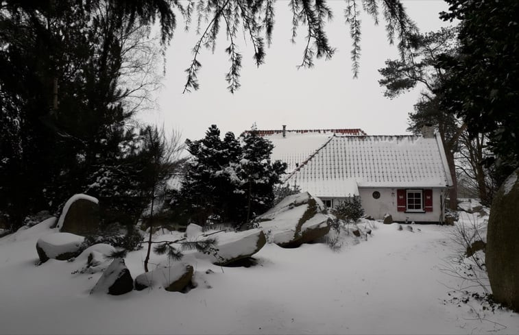 Natuurhuisje in Oldeholtpade