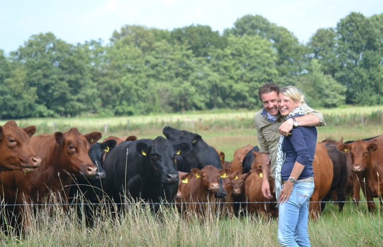 Natuurhuisje in Wierden