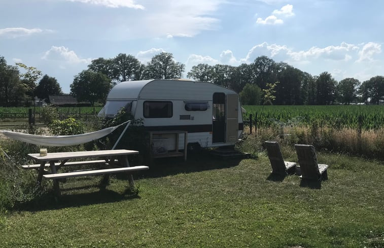 Natuurhuisje in Halle