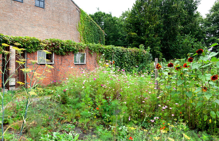 Natuurhuisje in Zegge