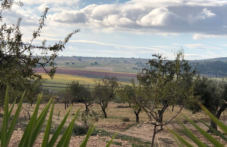 Natuurhuisje in Yecla