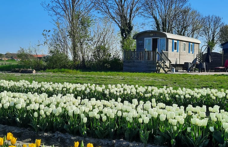 Natuurhuisje in Zonnemaire