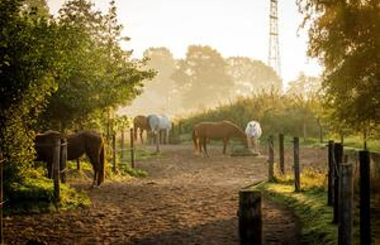 Natuurhuisje in Lunteren