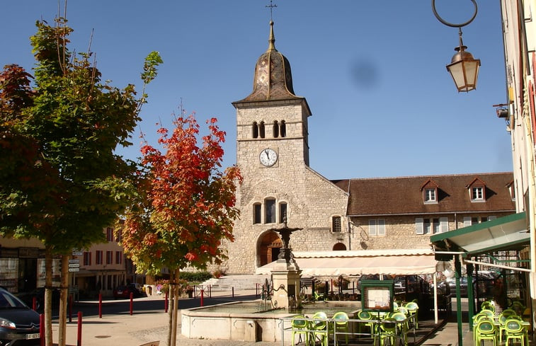 Natuurhuisje in Clairvaux les Lacs