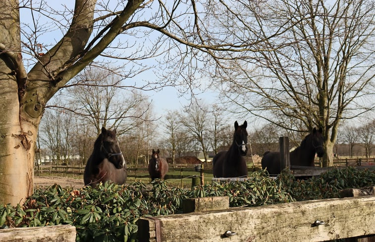 Natuurhuisje in Hapert