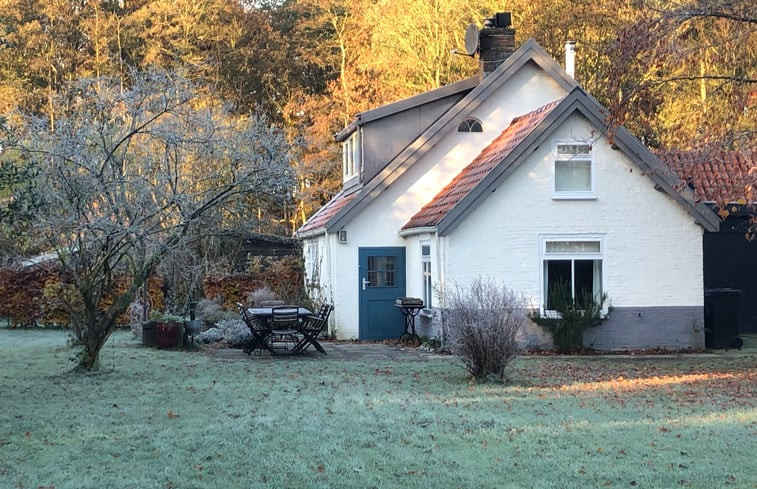 Natuurhuisje in Oostvoorne