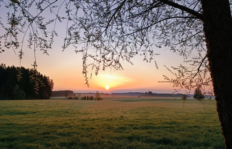 Natuurhuisje in Friesenried