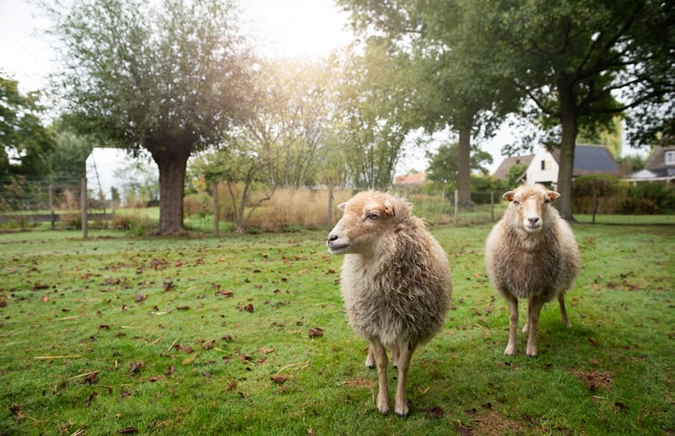 Natuurhuisje in Maldegem