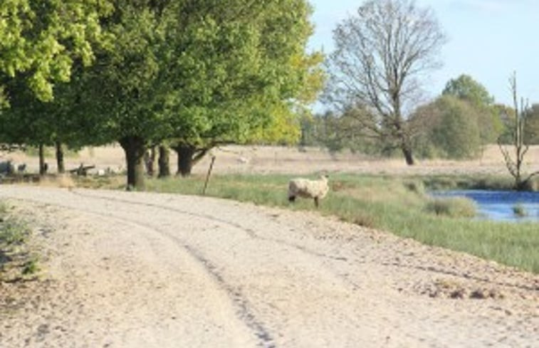 Natuurhuisje in Klazienaveen