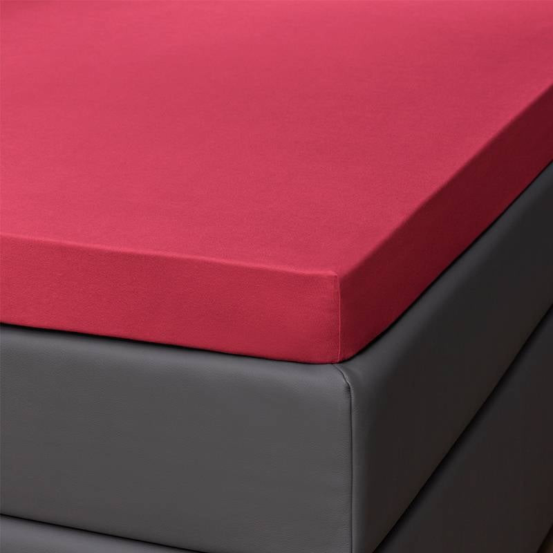 Jersey Topper Hoeslaken Egyptisch Katoen - Rood - 100x200 cm - Rood - Presence - Dekbed-Discounter.nl