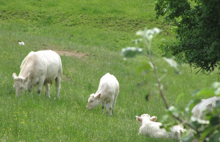 Natuurhuisje in Le Vernay, Sémelay