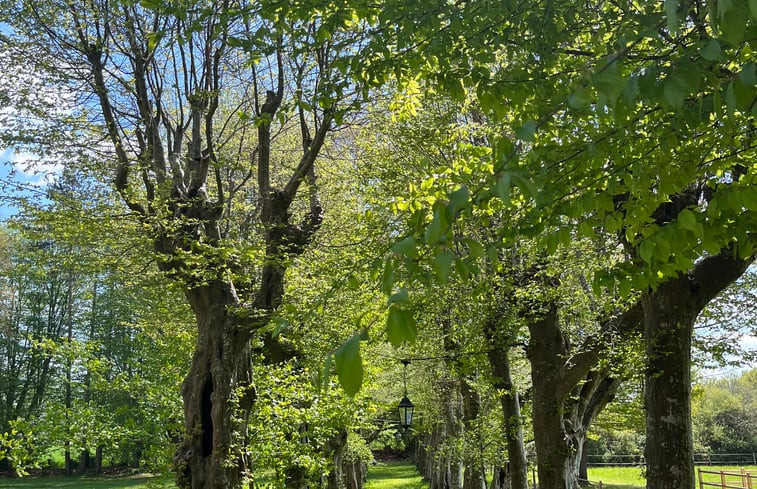 Natuurhuisje in Coux-et-Bigaroque