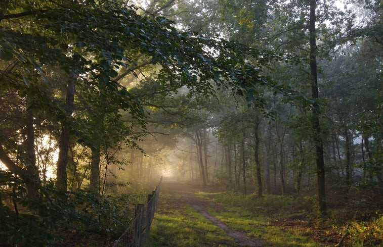 Natuurhuisje in Wissel bij Epe