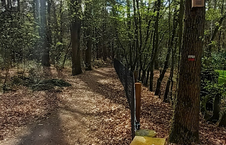 Natuurhuisje in Holten