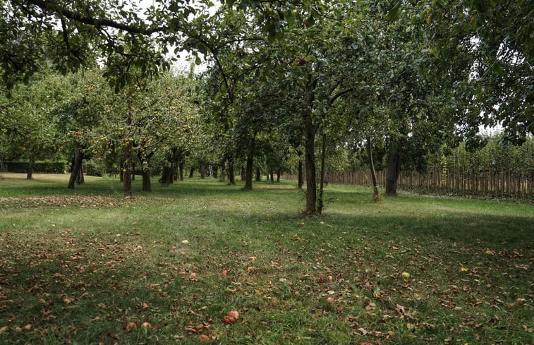 Natuurhuisje in Andelst