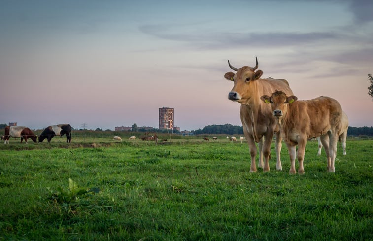 Natuurhuisje in Bunschoten-Spakenburg