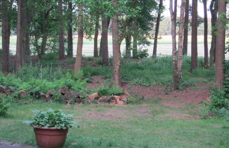 Natuurhuisje in Ommen