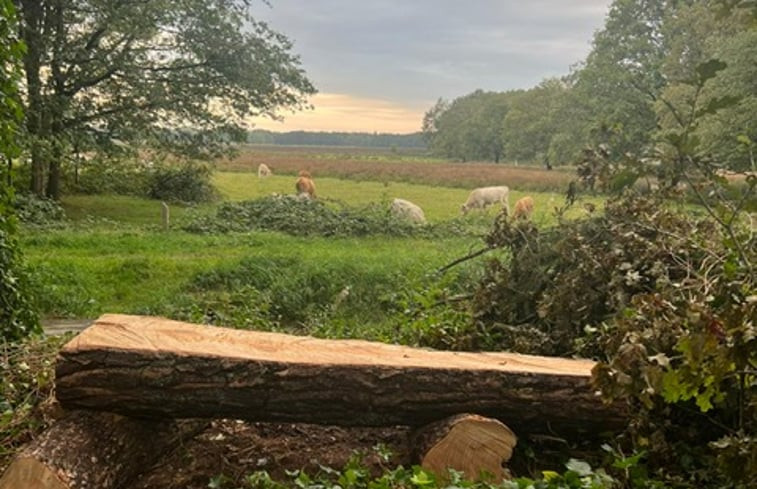 Natuurhuisje in Ruinen