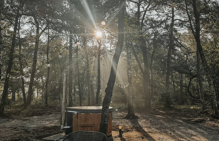 Natuurhuisje in Haarle