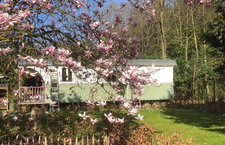 Natuurhuisje in Haaren