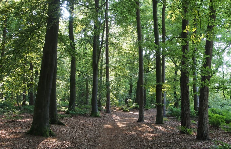 Natuurhuisje in Tubbergen