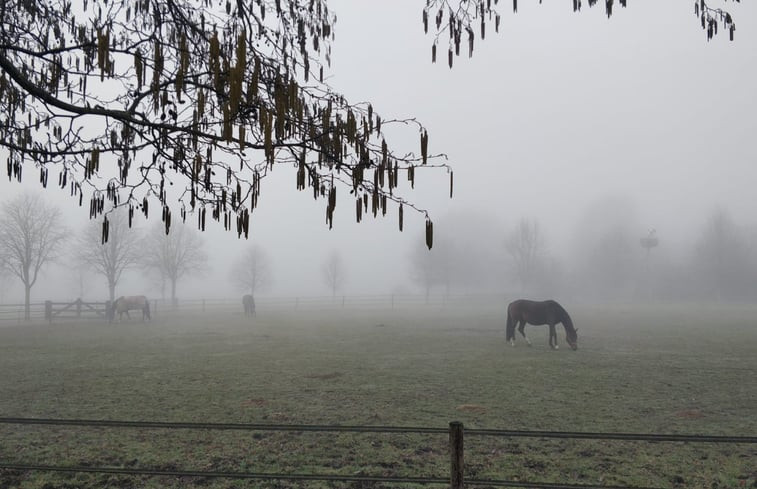 Natuurhuisje in Balkbrug