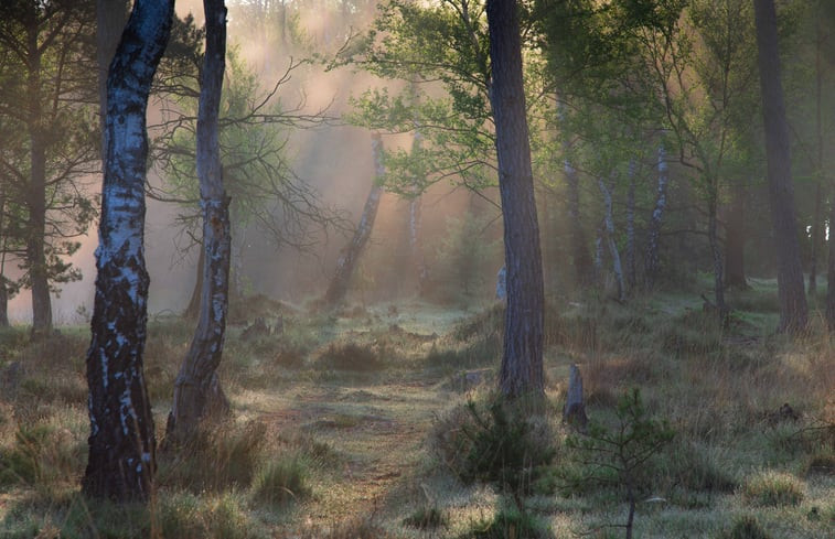 Natuurhuisje in Maarsbergen