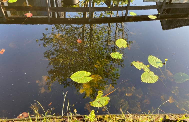 Natuurhuisje in Giethoorn