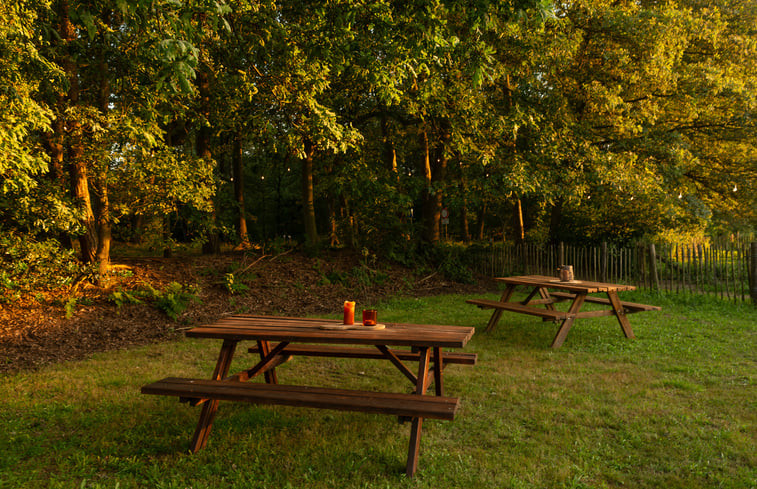 Natuurhuisje in Lierop