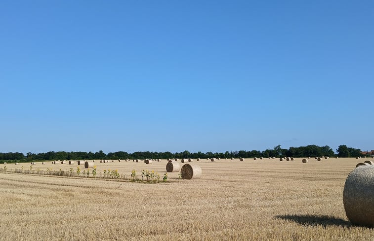 Natuurhuisje in Néret