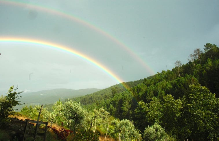 Natuurhuisje in COJA